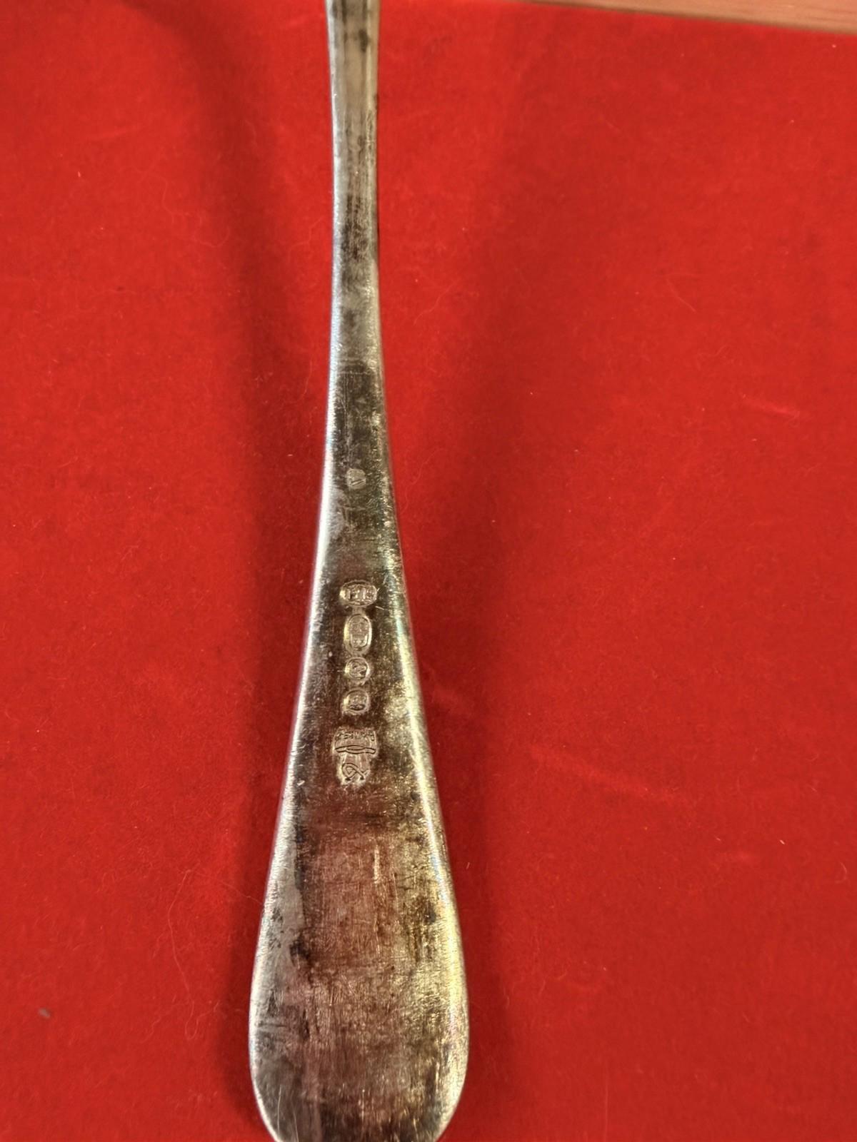 XL Serving Silver Plated Spoon Very Detailed Pattern Antique Vintage Cutlery