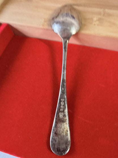 XL Serving Silver Plated Spoon Very Detailed Pattern Antique Vintage Cutlery